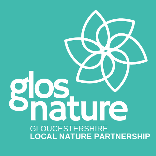 GLNP Logo Final