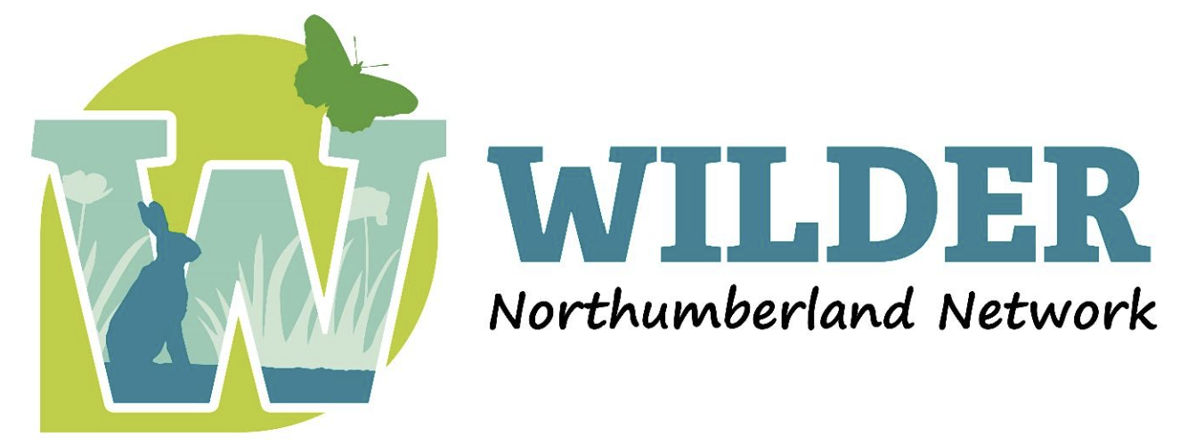 Wilder northumberland network logo